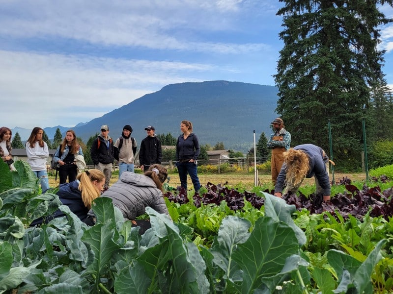 LFI farm