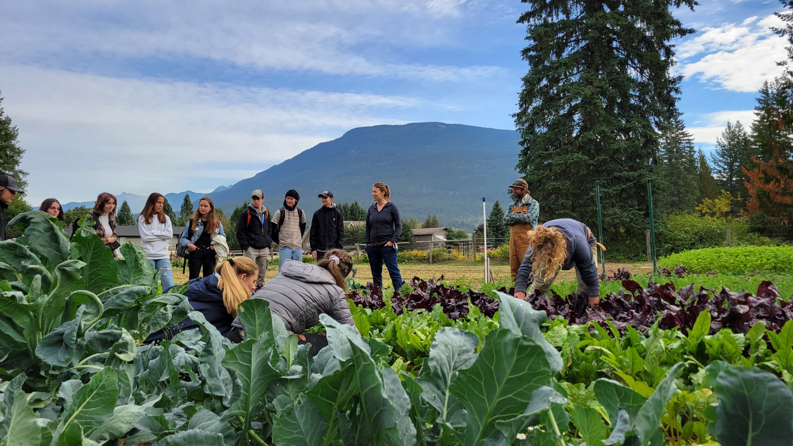 LFI farm