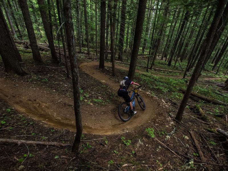 Revelstoke mountain bike trail with rider on it turning between trees.