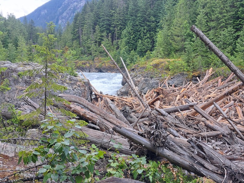 Steve Black, a man in a rain coat stands on a rock embankment looking over a large swath of logs caught up in the Box Canyon log jam.