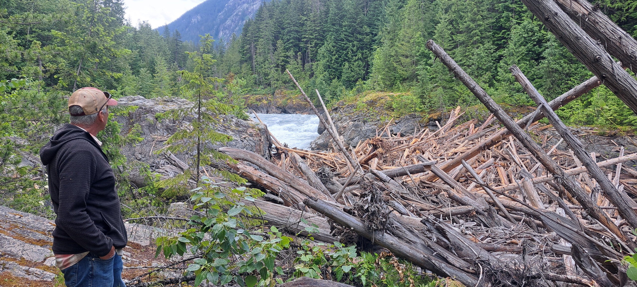 Steve Black, a man in a rain coat stands on a rock embankment looking over a large swath of logs caught up in the Box Canyon log jam.