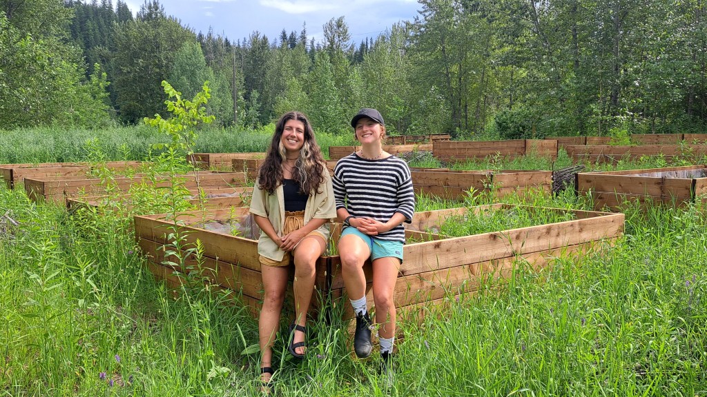 Commons Roots youth program leaders sitting on the edge of a large garden box in a small clearing.