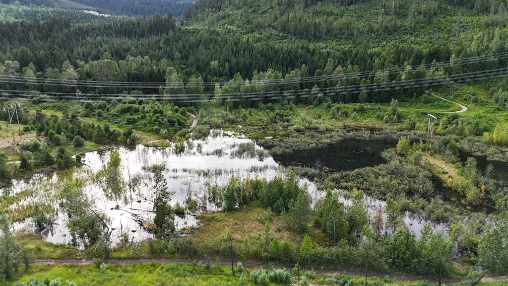 Ariel photo of Frisby Ridge exit trail flooding due to beaver dam in Revelstoke