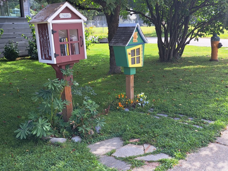 Two of Revelstoke little free libraries, a green Dr. Seuss-styled kids library and the forest-themed general free library.