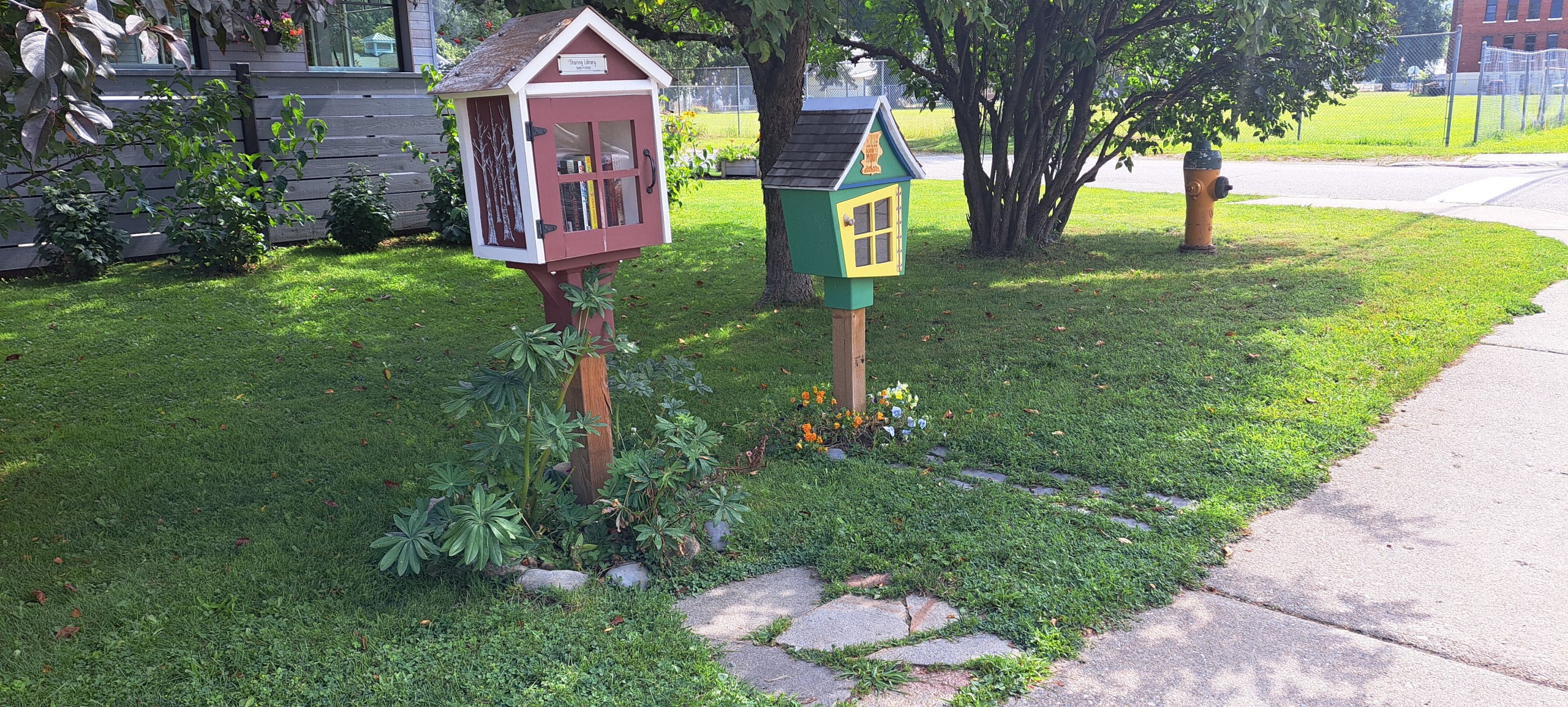Two of Revelstoke little free libraries, a green Dr. Seuss-styled kids library and the forest-themed general free library.
