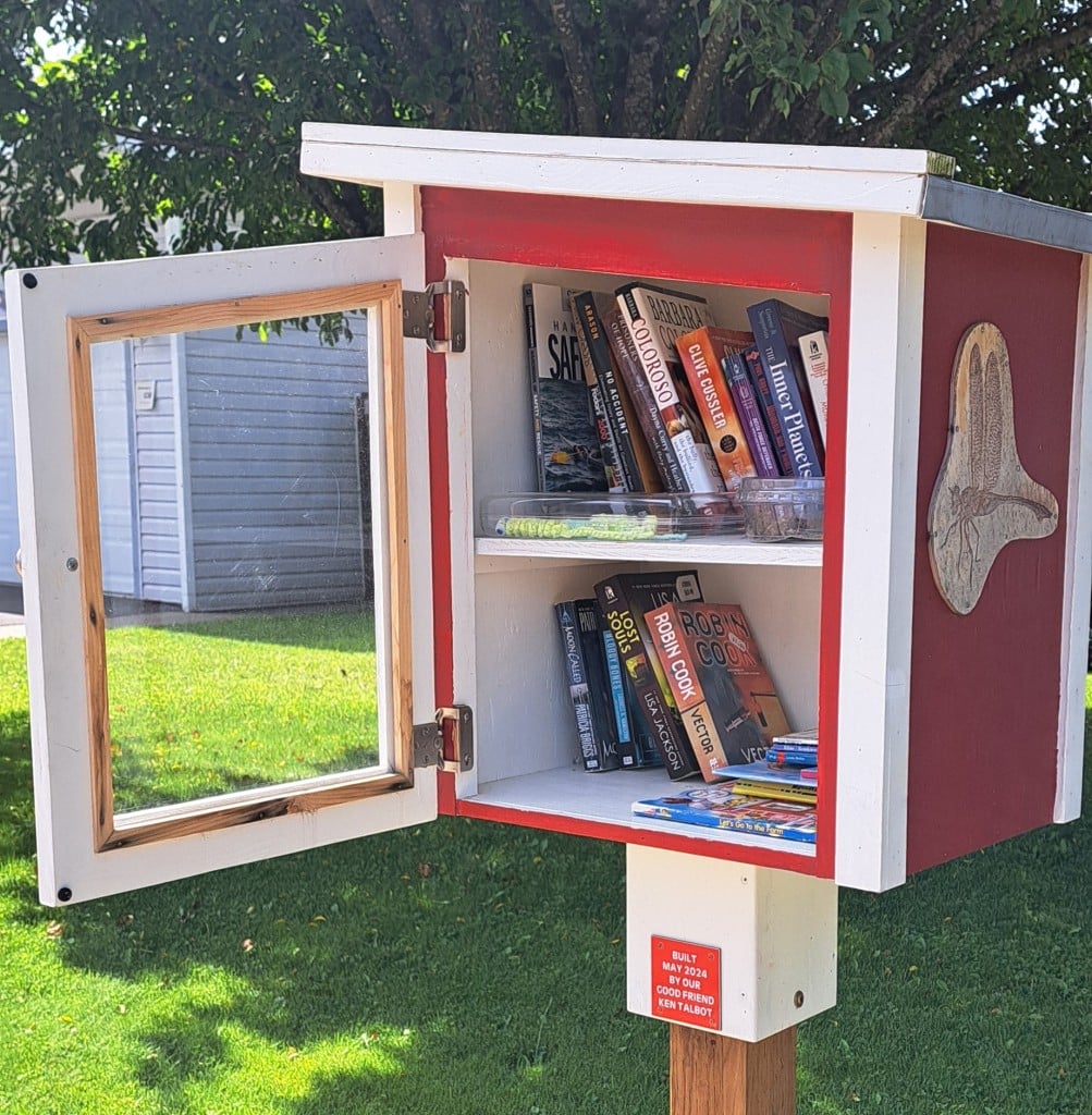 Bright red little free library in Revelstoke with a dragonfly wood stencil on the side.