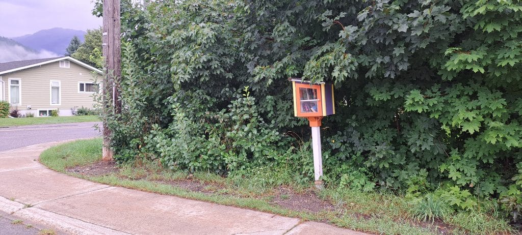A small purple, orange and yellow little free library surrounded by shrubbery