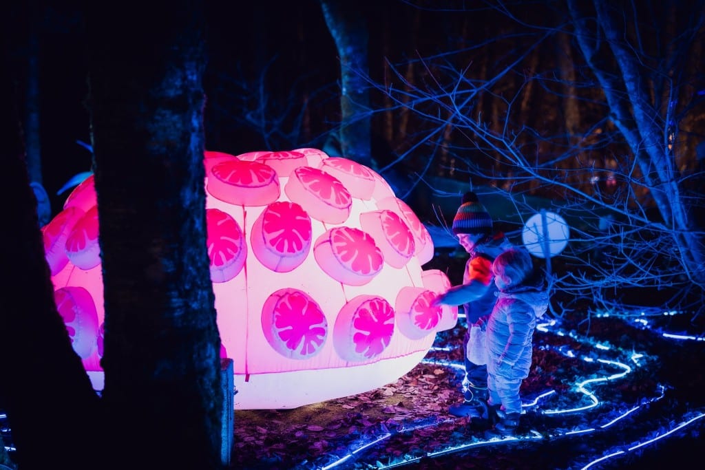 LUNA Arts 2025 installation of an inflatable and lit up sea sponge. Two children are standing by it and touching the art piece.