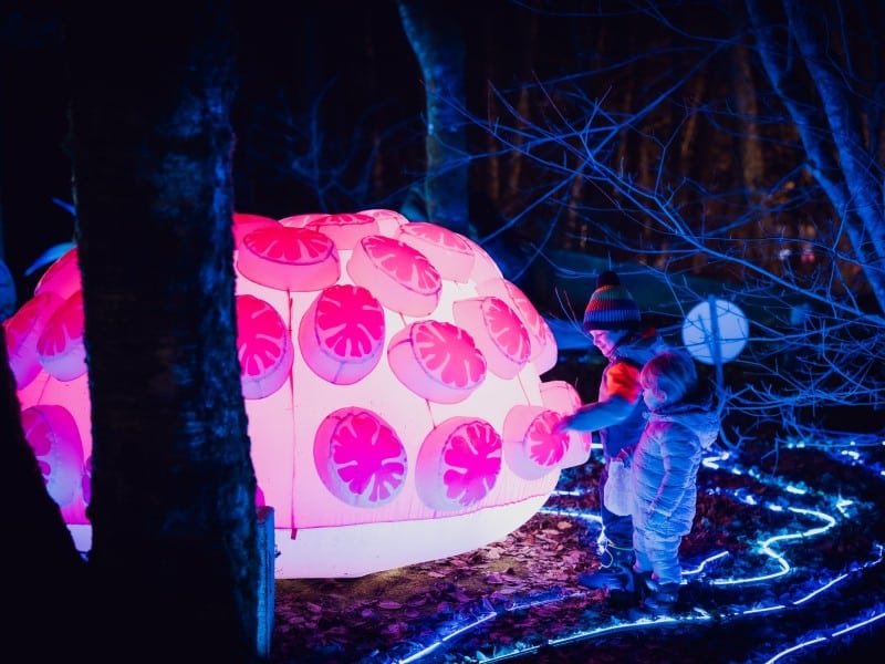 LUNA Arts 2025 installation of an inflatable and lit up sea sponge. Two children are standing by it and touching the art piece.