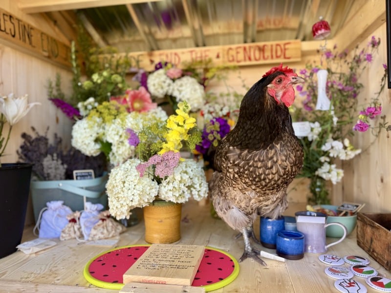 A chicken and bouquets of flowers inside a wooden farm stand