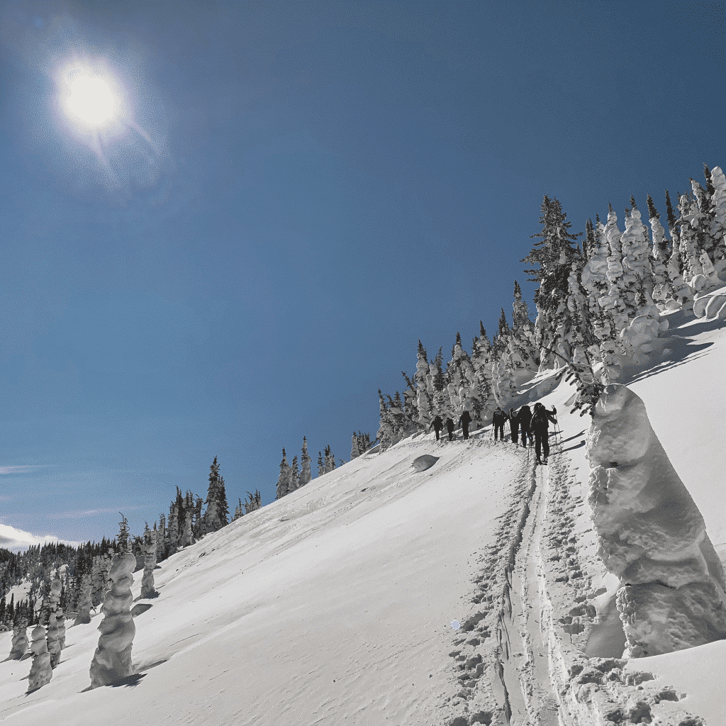 Photo of skiiers traversing up a mountain. Photo for the B.C. Interior conditions report.