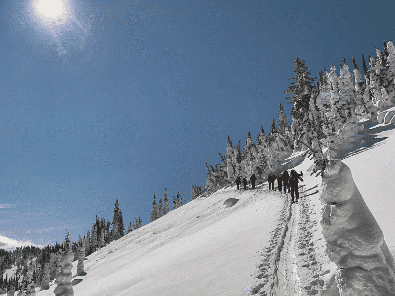 Photo of skiiers traversing up a mountain. Photo for the B.C. Interior conditions report.