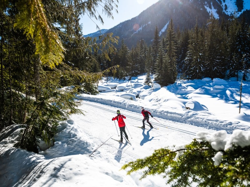 Revelstoke Nordic Ski Club members on a groomed trail part of the Mount Macpherson route. The sun is shining and the cross country skiers are crossing a break between trees.
