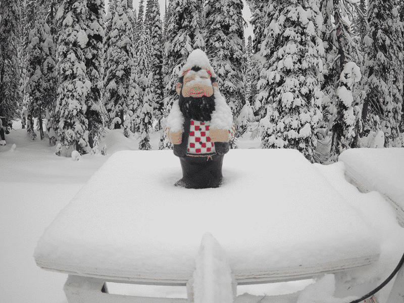 Revelstoke Mountain Resort opening day promotional photo of a garden gnome on a wooden platform with a couple of centimeters of snow around him.