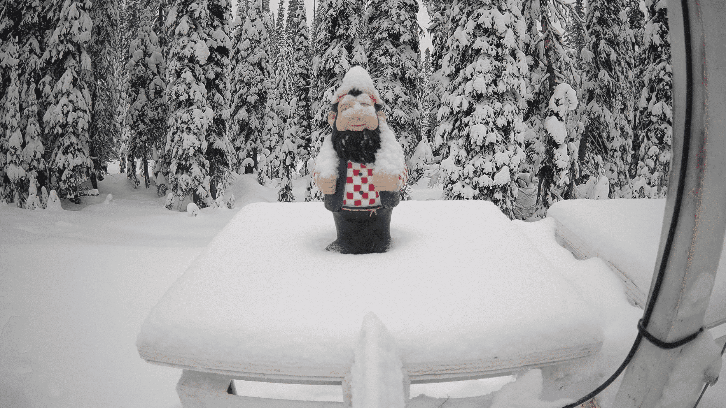 Revelstoke Mountain Resort opening day promotional photo of a garden gnome on a wooden platform with a couple of centimeters of snow around him.