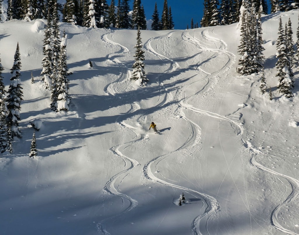 Skier traversing down an ungroomed run, half a dozen ski tracks already in the snow. Trees line the run in a wide berth
