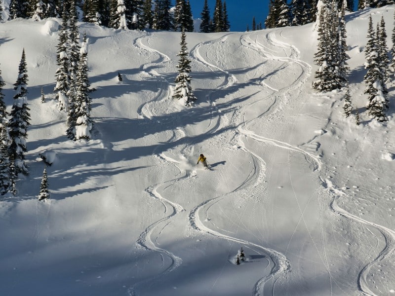 Skier traversing down an ungroomed run, half a dozen ski tracks already in the snow. Trees line the run in a wide berth