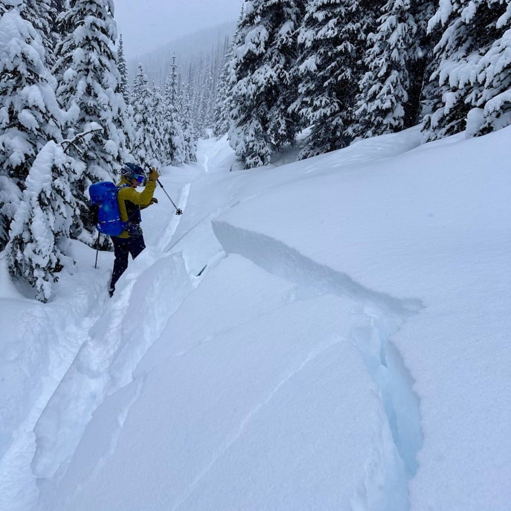 A skiier testing the reactivity of snow layers on a gentle slope near Revelstoke. A large crack has formed in the snow as a reactive slab detaches