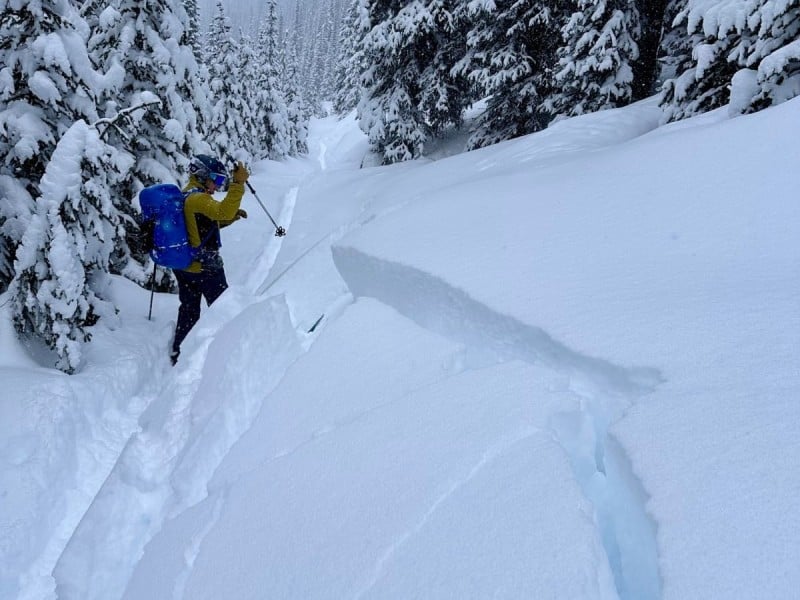 A skiier testing the reactivity of snow layers on a gentle slope near Revelstoke. A large crack has formed in the snow as a reactive slab detaches