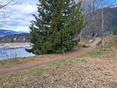 A steep dirt embankment coming down from the paved Centennial Park pathway, leading down to the Columbia River recreation trail. Part of Revelstoke Adaptive Sports Program trail update.