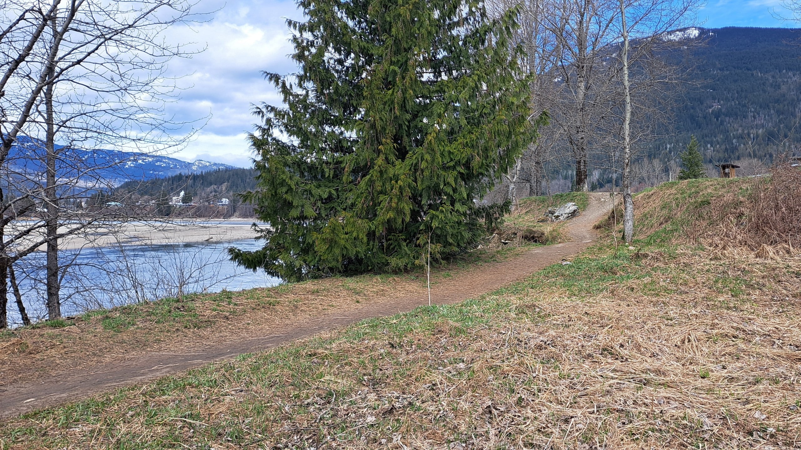 A steep dirt embankment coming down from the paved Centennial Park pathway, leading down to the Columbia River recreation trail. Part of Revelstoke Adaptive Sports Program trail update.