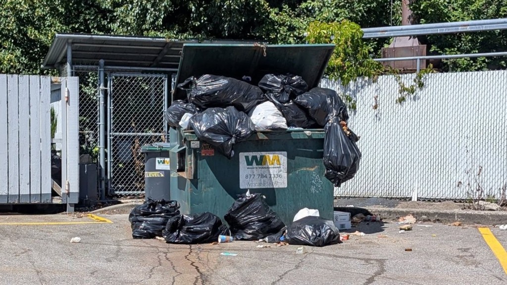 A green commercial waste bin in Revelstoke overfilling with garbage bags. Some bags are now resting outside the bin on the concrete